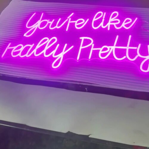 Zealviz LED Neon Acrylic Light Sign for Logo & Billboard Decoration